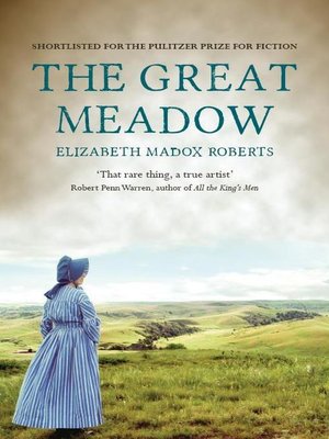 cover image of The Great Meadow